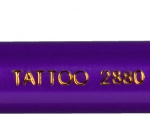 2880_tattoo otevrena